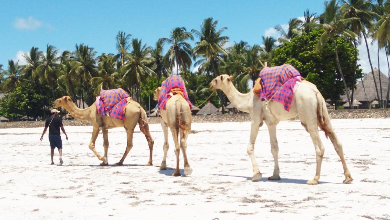 Galu Gardens Apartments Diani Beach Eksteriør billede